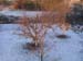 DSCN0051