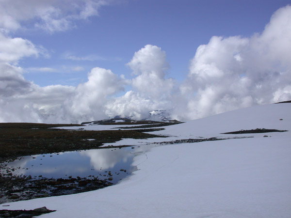 Dscn0353
