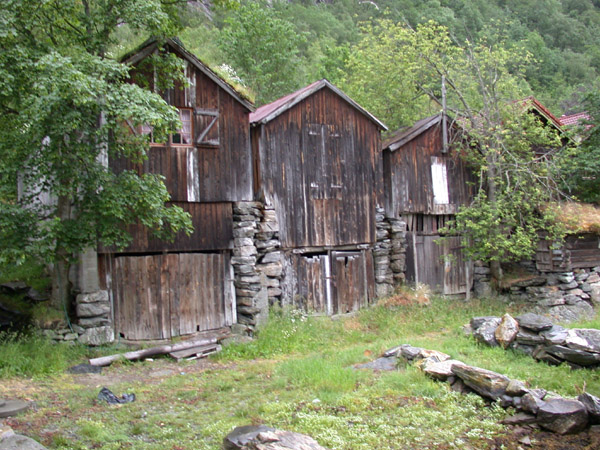 Dscn0582
