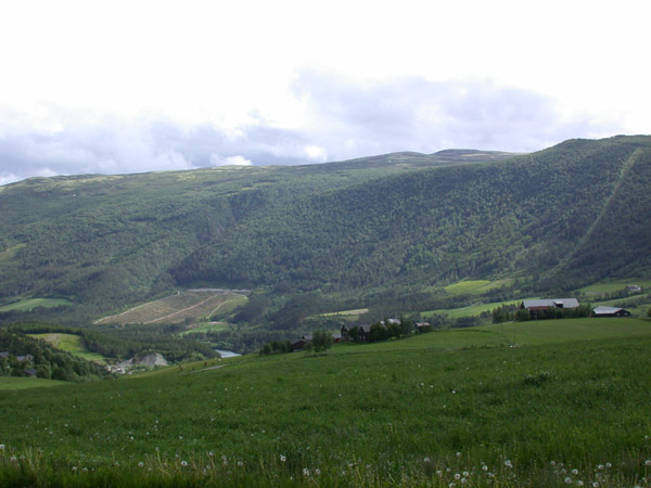 Dscn0717