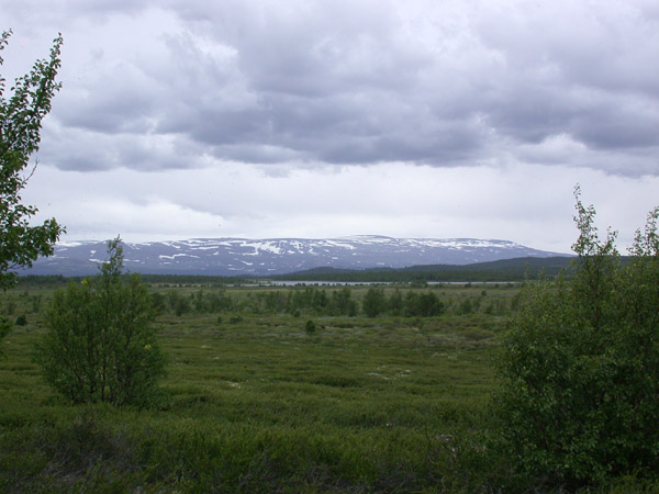 Dscn0741