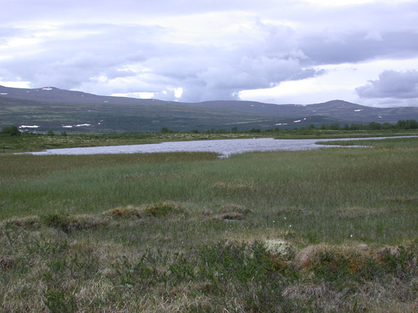 Dscn0748