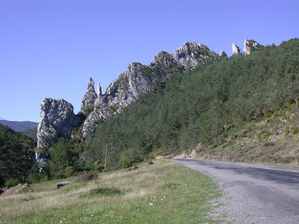 DSCN0049