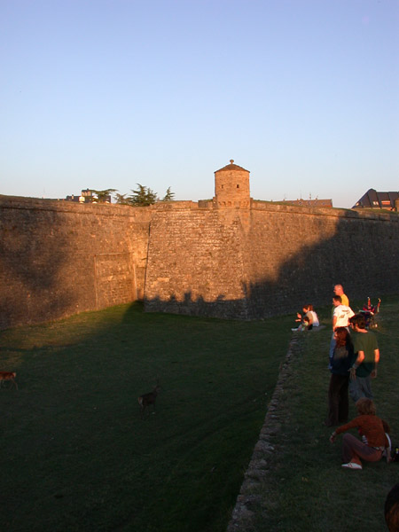 DSCN0058