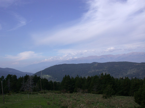 DSCN0078