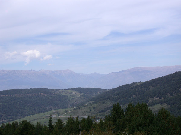 DSCN0079