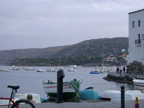 DSCN0082