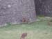 DSCN0055