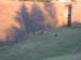 DSCN0062