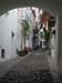 DSCN0095
