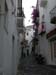 DSCN0096