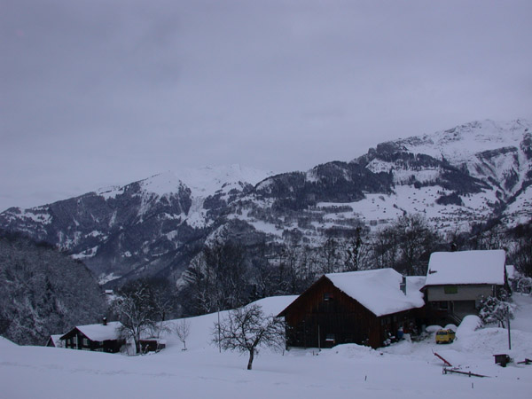 DSCN0138