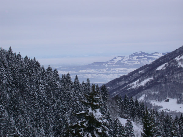 DSCN0161